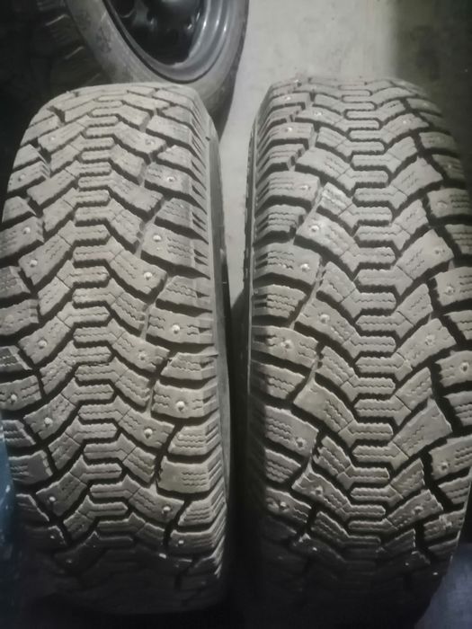 Продам зимный ризина