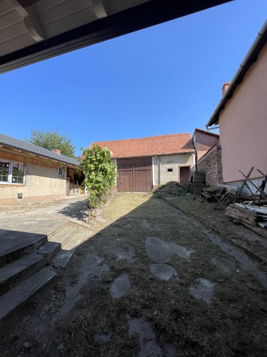 Întreținere grădini și spații verzi – Lăsăm totul perfect!