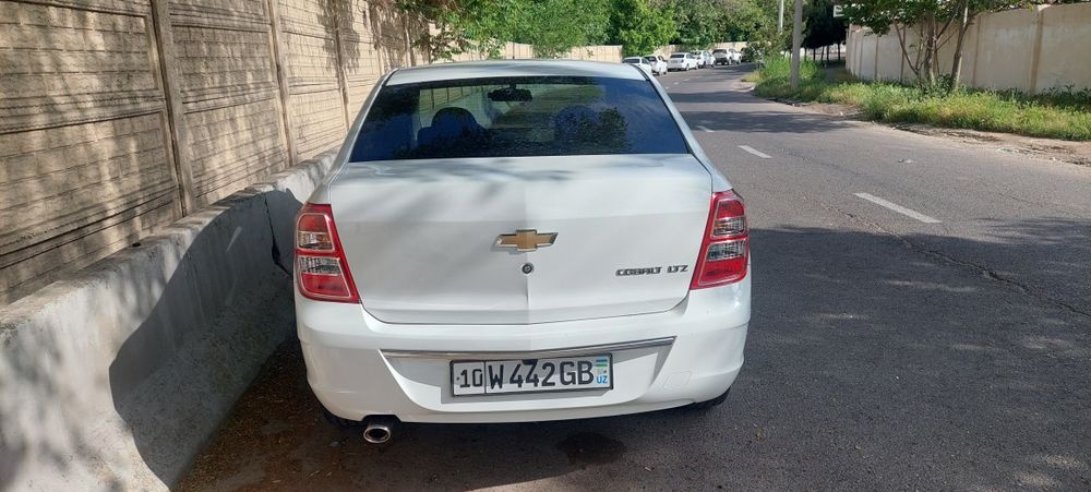 Other Cobalt 2024 — 2