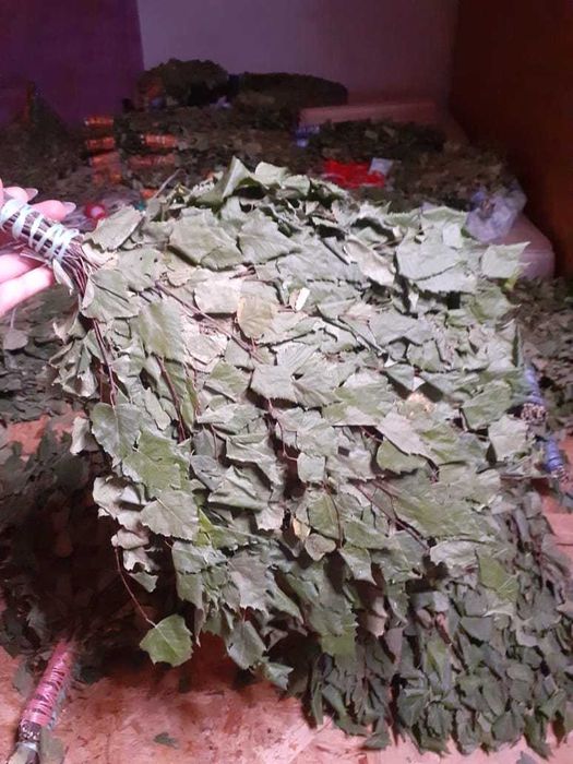 Веники березовые