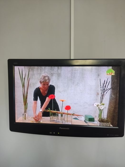 Panasonic TX-LR22×20