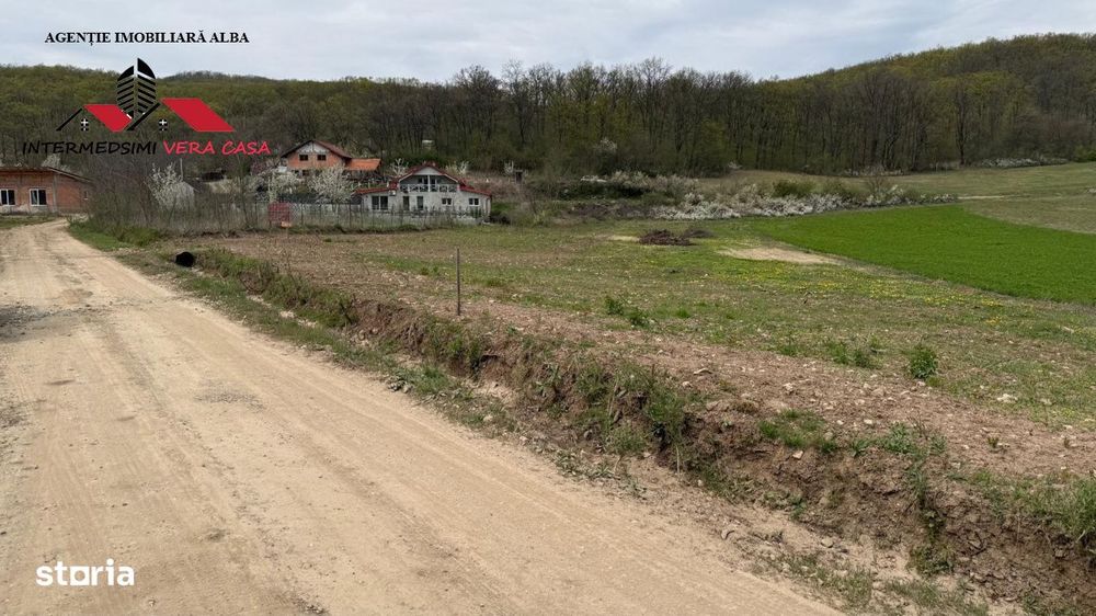 Teren intravilan 833 mp de vanzare in Ampoita Jud Alba