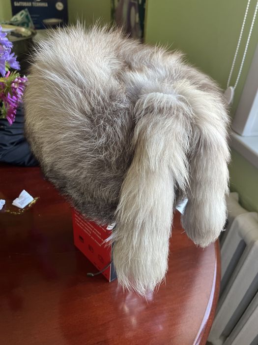 Шапка писец