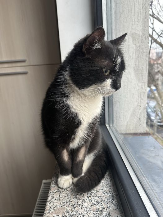 James Bond cauta casuta