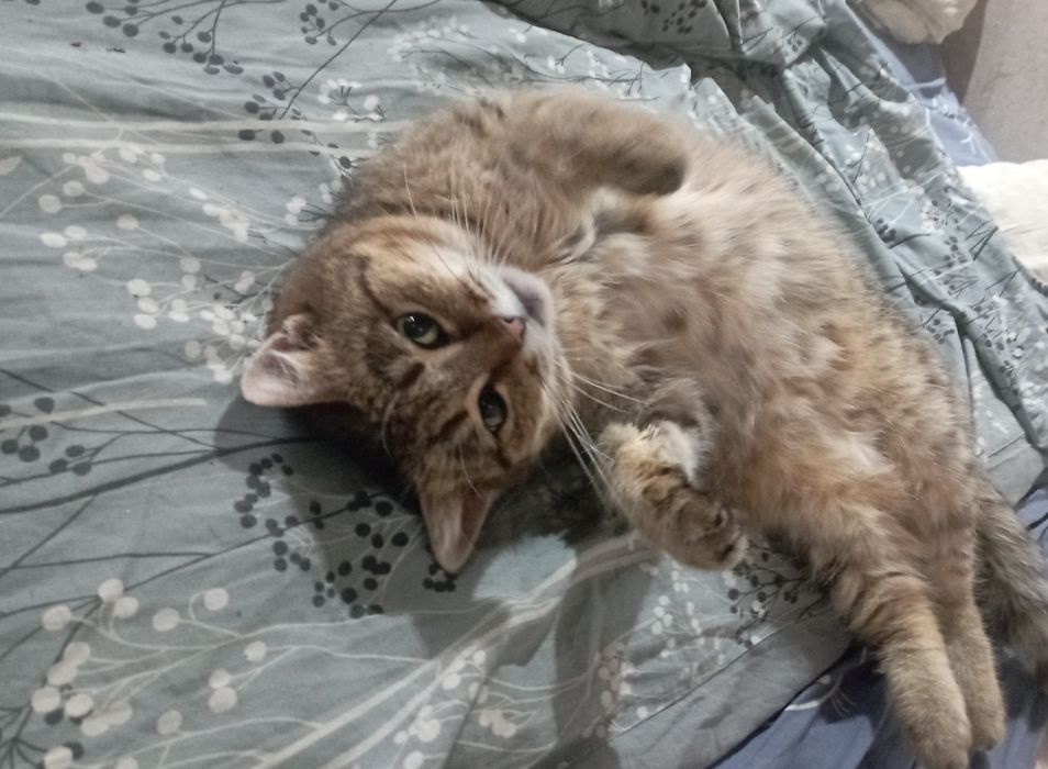 В одни руки. 7-8 лет. Наидобрейшим людям.