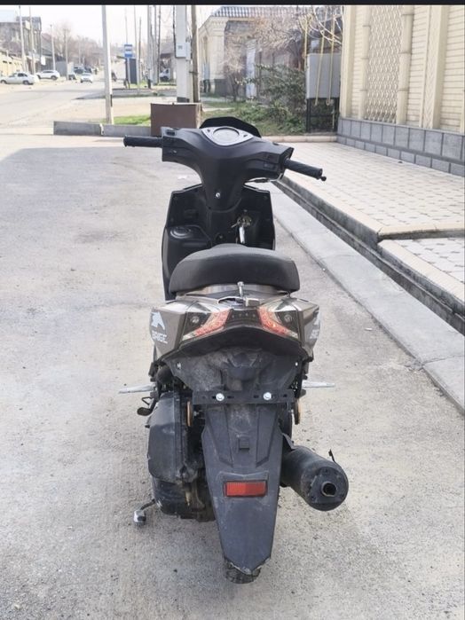 Мопед арендага берыледы