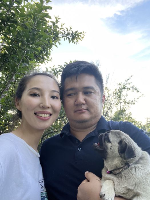 СРОЧНО! Продаю мопса, торг есть!