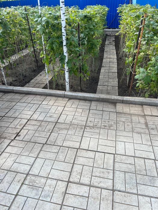 ПРОДАМ ДАЧУ. Садовое общество «Дорожник»