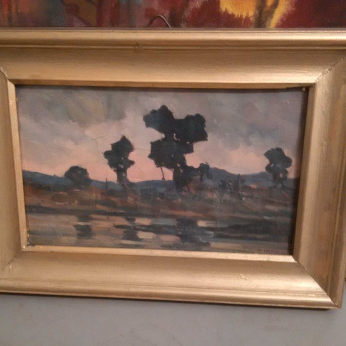 Peisaj de tara - Nicolae Meicu Semnat Dimensiuni 25/15cm cu Rama