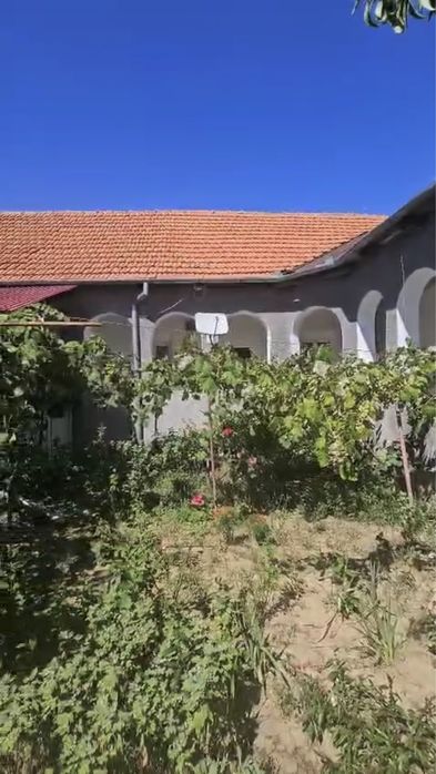 Vand casa in Ficatar Timis