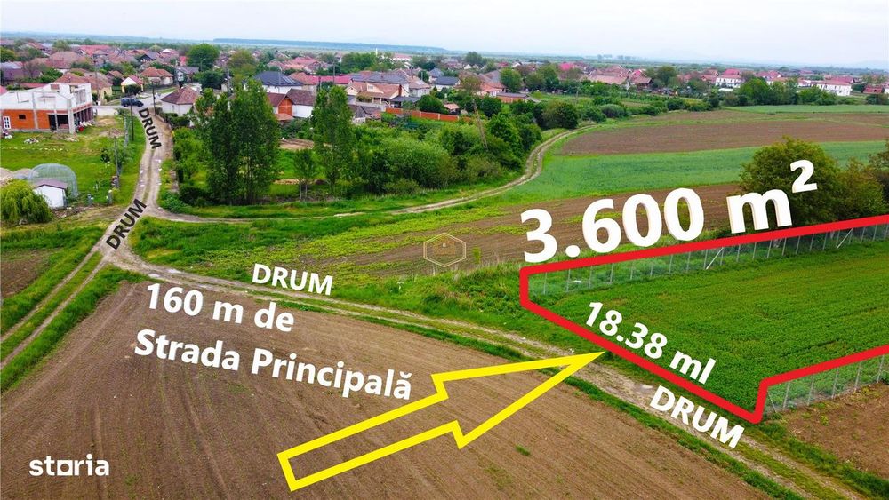 Teren 3.600 m² in Odoreu | 7 km de Satu Mare | 160 m de Principala