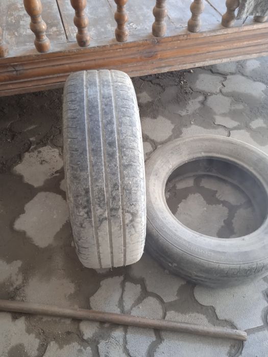 Мошин балон кобальтниуи