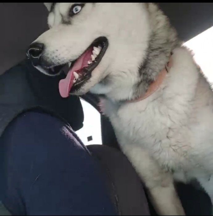 Топиб қайтармаган одамни худога солдим