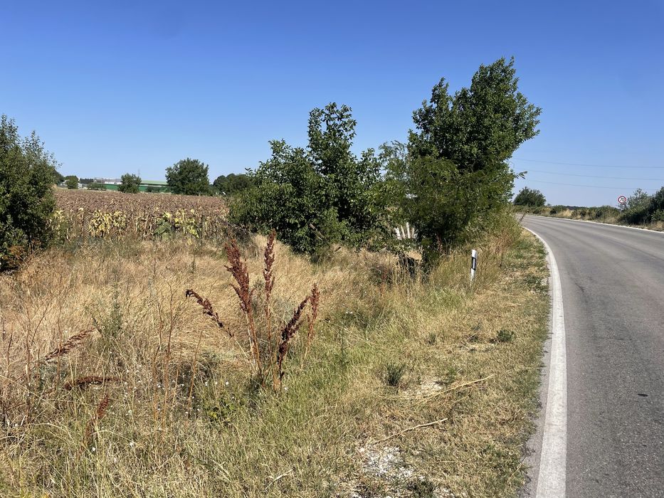 Продава се Земеделски имот в с. Калипетрово, Област Силистра -  кв.м за 6193 €/дка - Снимка #1