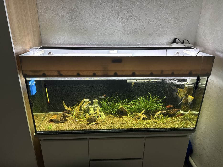 Аквариум  250 литр.