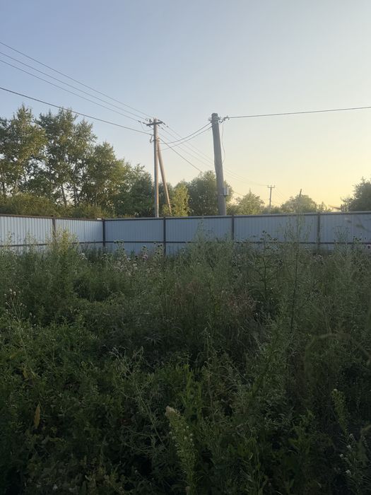 Продам дачу в обществе « Дружба»