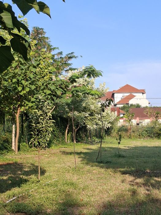 Urziceni.jud.Ialomița.Teren pentru casă . Zonă PREMIUM.500 mp.