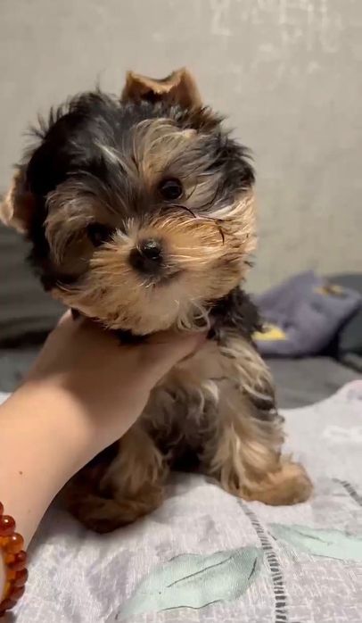 Кукольные мини мальчик и девочка