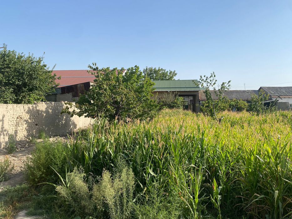 Ховли,сотилади, срочно