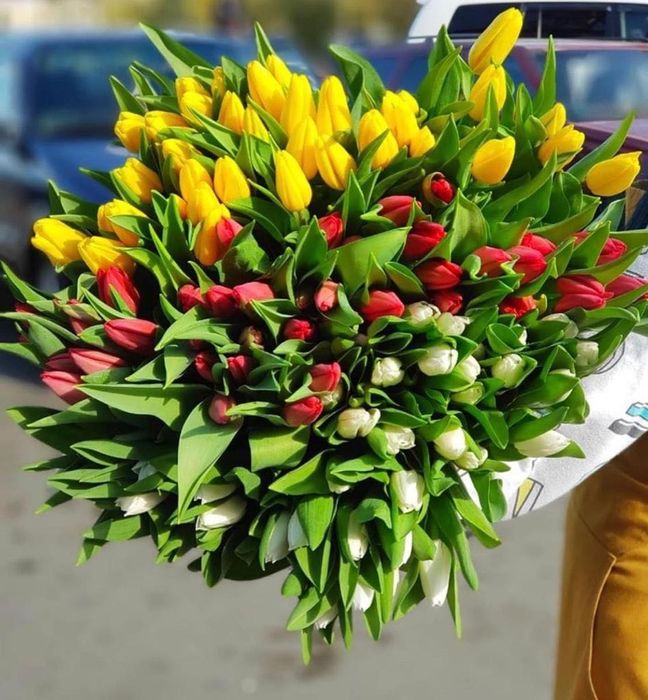 Тюльпаны оптом Экибастуз