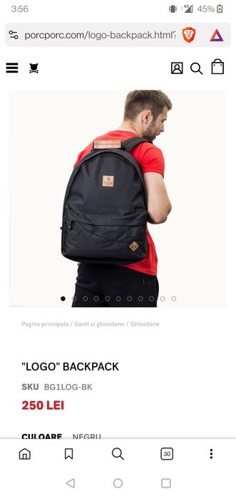 Ghiozdan Porc, purtat, defect usor - cusut