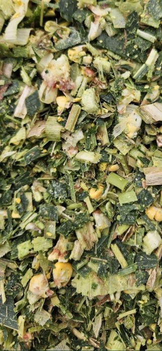 Siloz de porumb masa verde