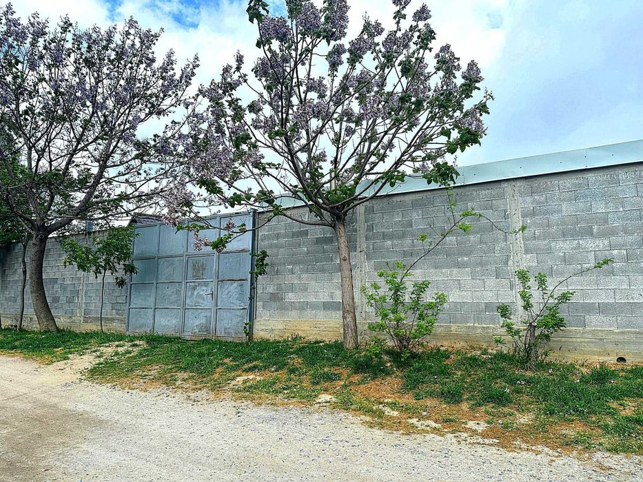 Proprietar – teren intravilan 1.522 mp, 2 intrări utilități gard beton sere lac – zona CAP