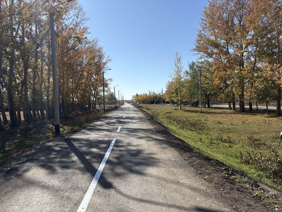 Дорожная разметка