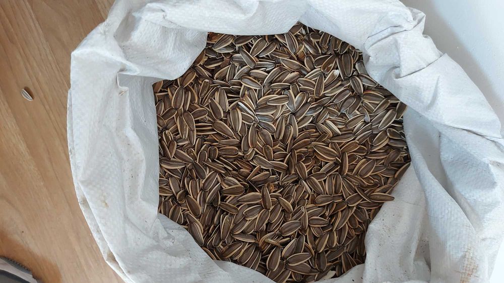 Семчка крупная кондитерска