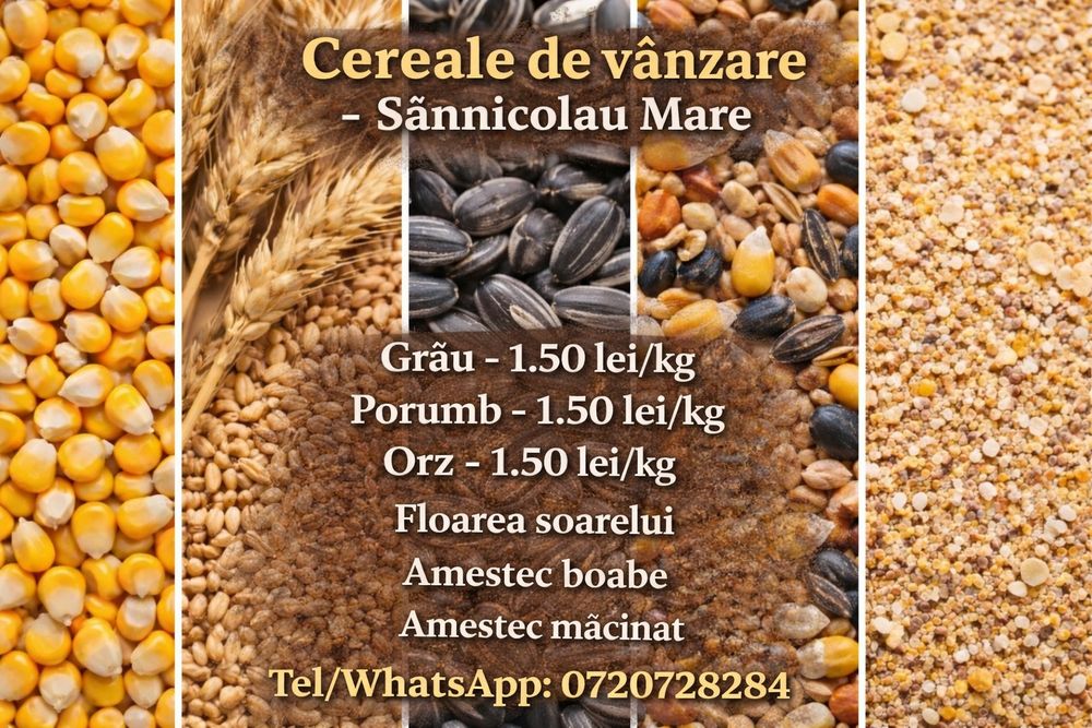 Porumb, Grau, Floare si amestec
