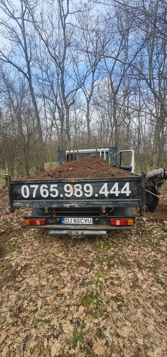 Pamant negru de padure