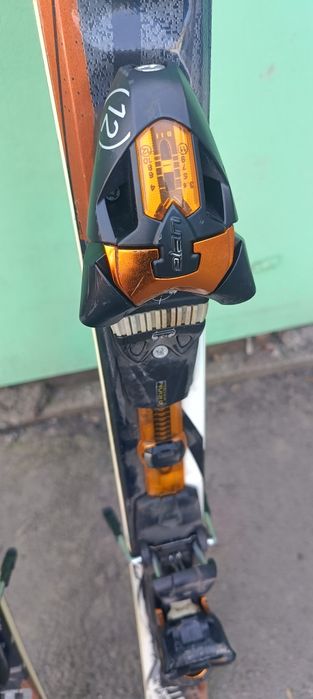 Лыжи горные elan