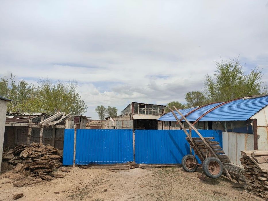 Магазин, дом , фазенда