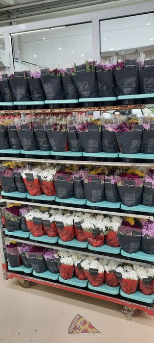 Цветы каланхое орхидея хризантемы