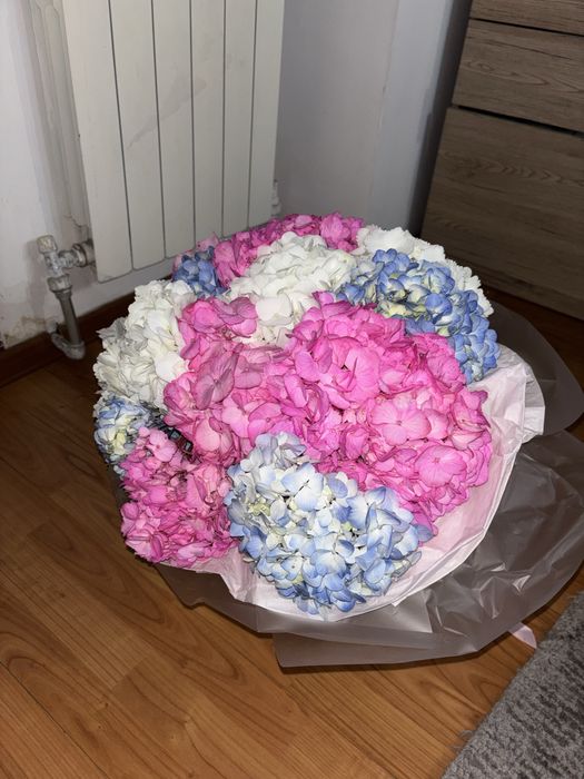 Красивые,свежие цветы