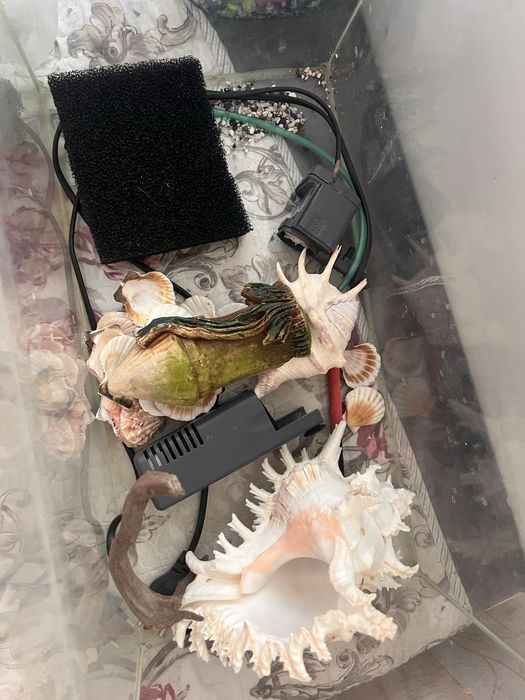 Продам аквариум 30л