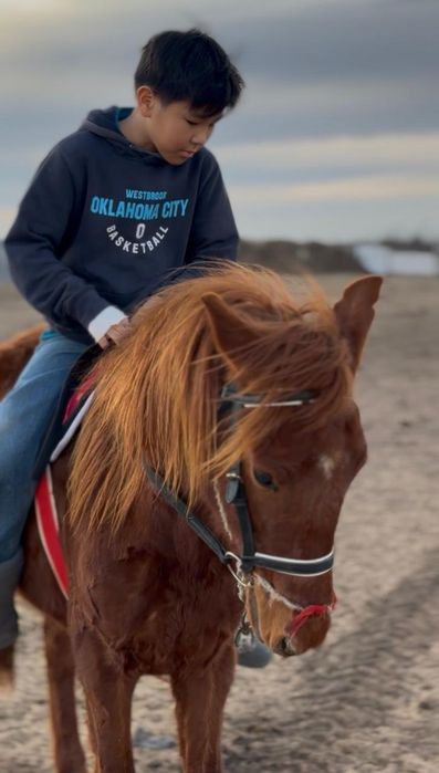 Тай сатылымда мінгі