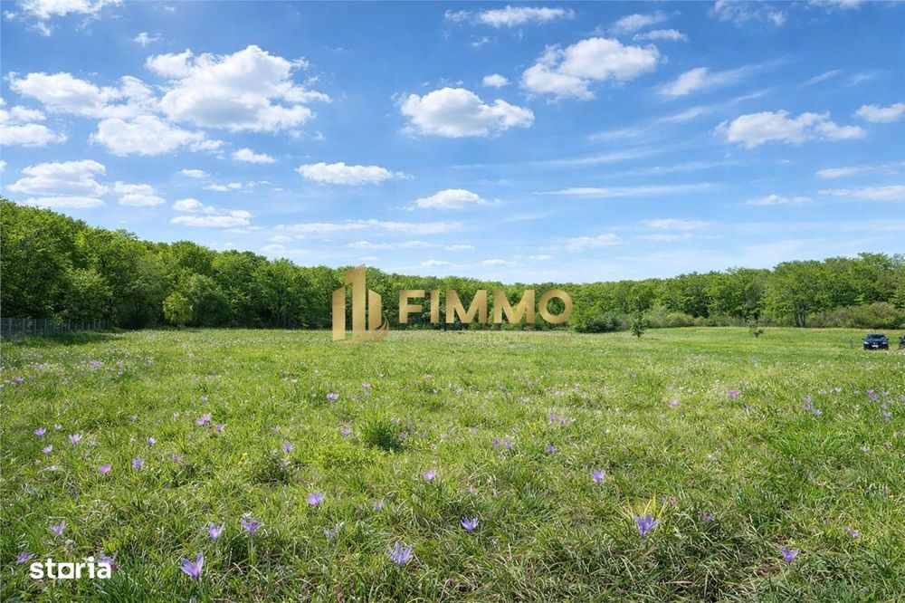 Teren langa padure | 21 ari | Intravilan | Dragomirna | ID:1686