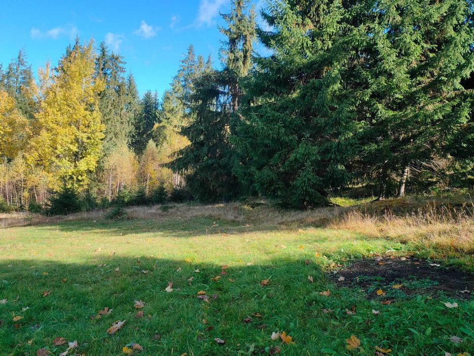 Teren de vanzare Saru Dornei