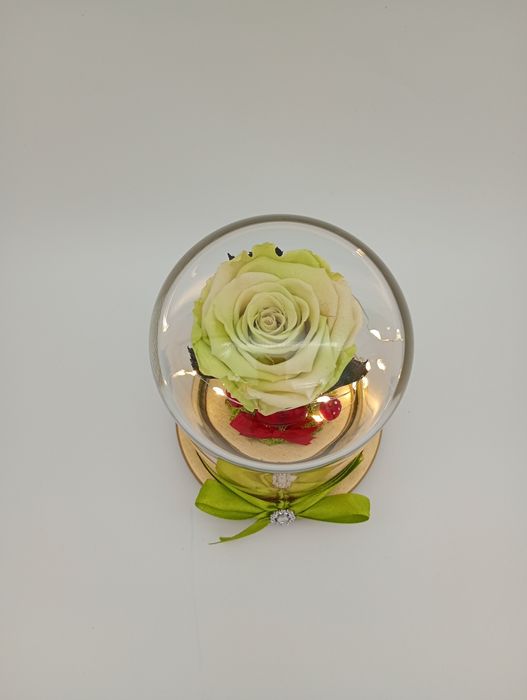 Trandafiri criogenati in cupola de sticla cu leduri cadoul perfect