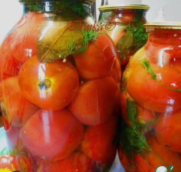 Солонина салаты икра кабачковая