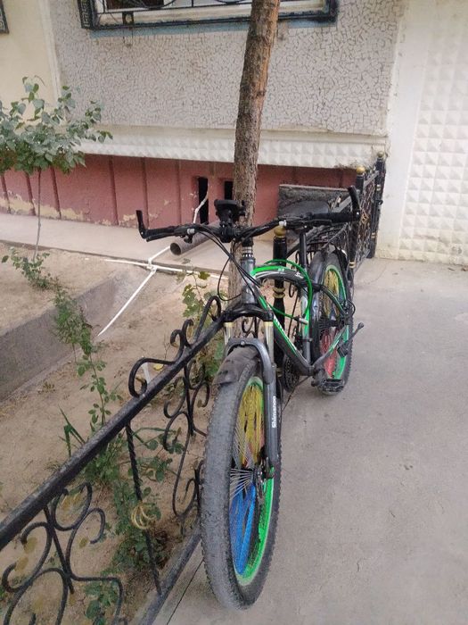 Velik sotiladi avgustda olingan