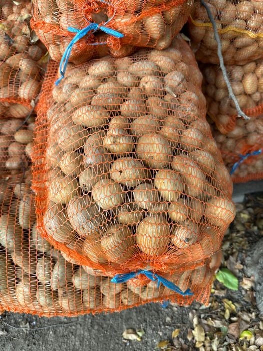 Cartofi pentru animale