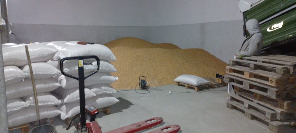 Porumb, gråu, .cu transport