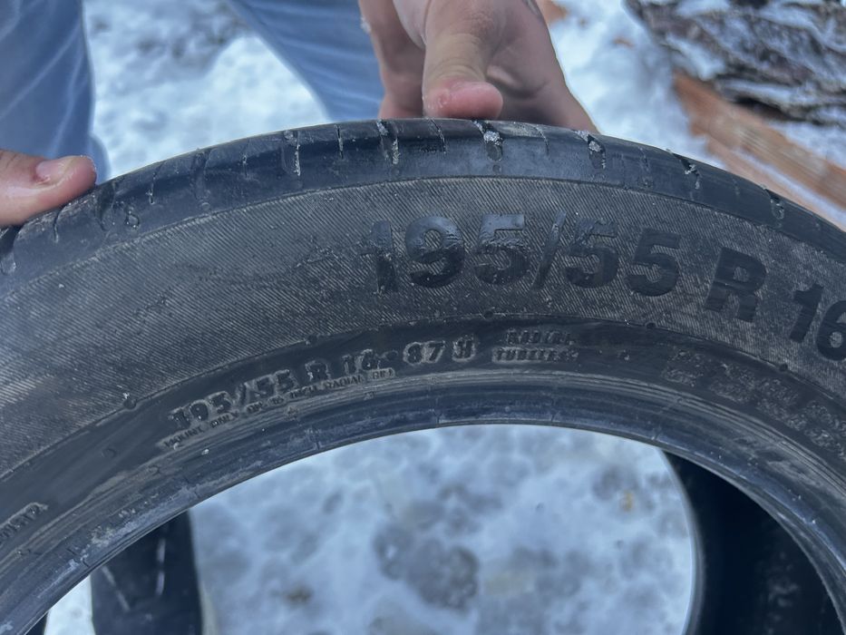 vand caucicuri de vara