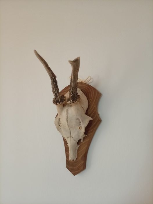 Decorațiune de perete