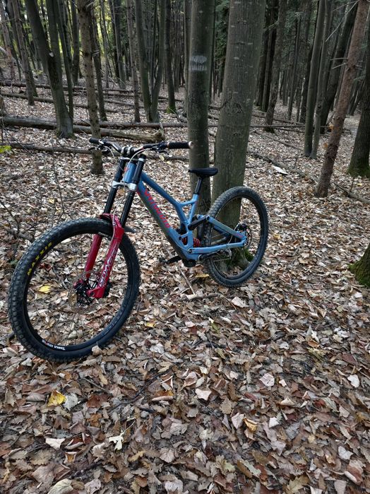 Downhill колело specialized expert 29.