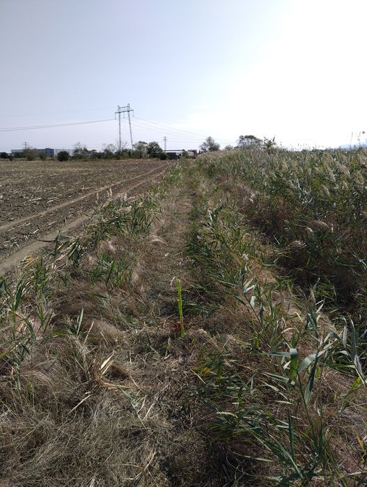 Парцел втора линия на околовръстното на Пловдив