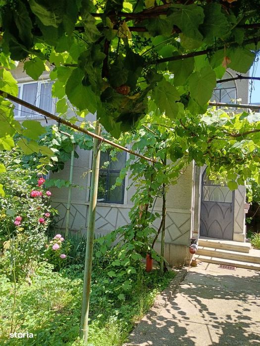 Casa zona Cantacuzino