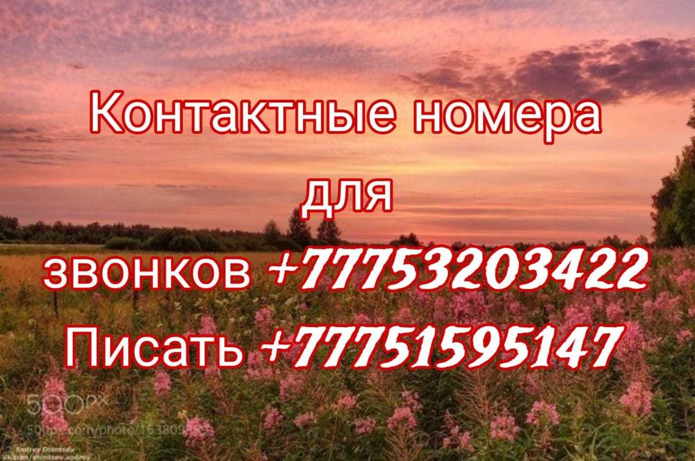 Однакомнатая Площадь